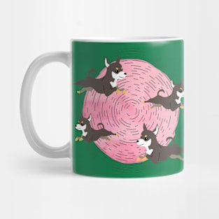 Chihuahua spins Mug